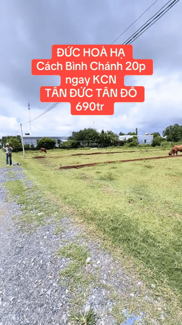 Mua bán Đất Huyện Đức Hòa Long An diện tích 100 m² giá 690 triệu