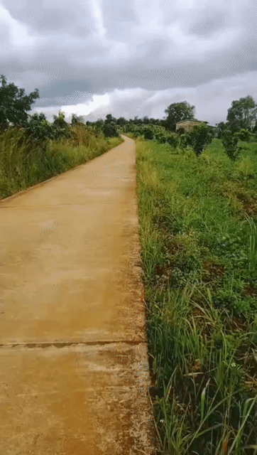 Mua bán Đất Huyện Tuy Đức Đắk Nông diện tích 11000 m² giá 2 tỷ