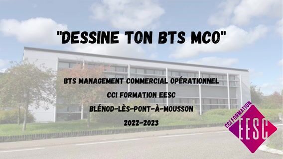 Dessine ton BTS MCO