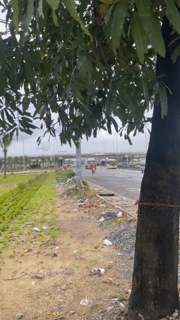 Mua bán Đất Huyện Long Thành Đồng Nai diện tích 85 m² giá 1,55 tỷ