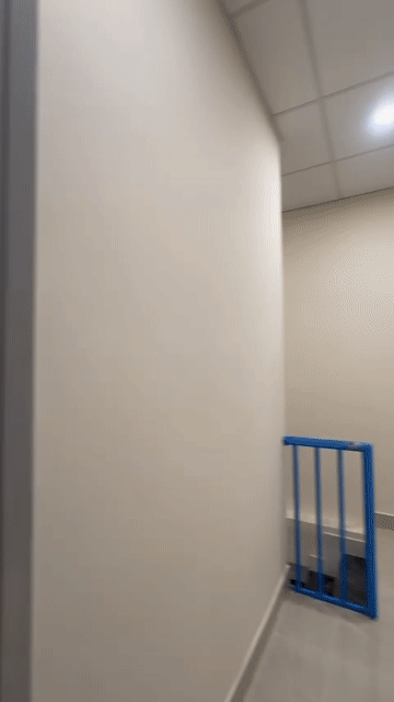 Cho thuê Căn hộ Chung cư Thành phố Thủ Đức Tp Hồ Chí Minh diện tích 50 m² giá 6,5 triệu/tháng