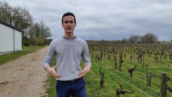 Technico-Commercial (e) en Vins & Spiritueux