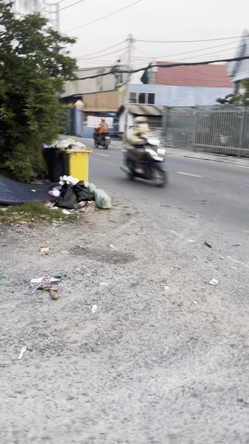 Cho thuê Đất Huyện Bình Chánh Tp Hồ Chí Minh diện tích 1000 m² giá 12 triệu/tháng
