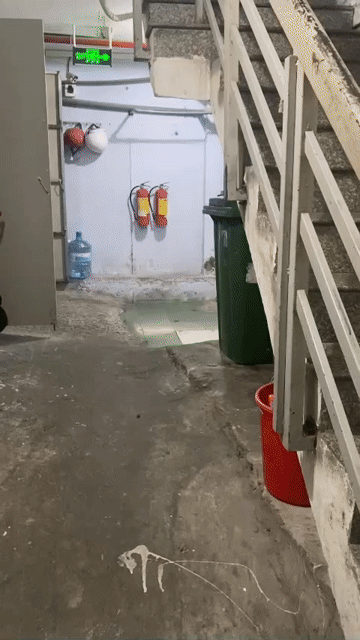 Cho thuê Phòng trọ Quận Tân Bình Tp Hồ Chí Minh diện tích 18 m² giá 1,31 triệu/tháng