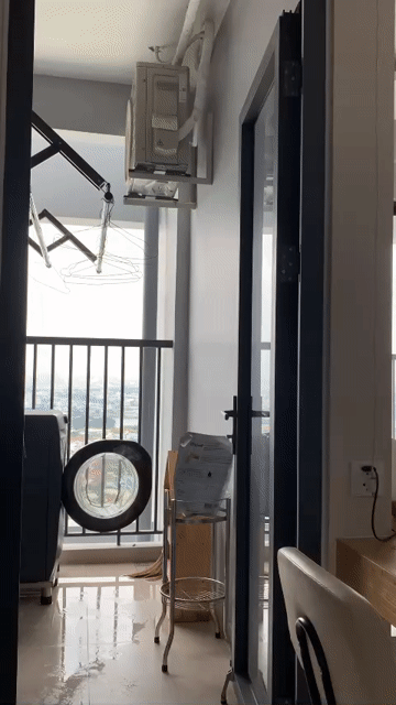 Cho thuê Căn hộ Chung cư The Rivana Thành phố Thuận An Bình Dương diện tích 50 m² giá 7 triệu/tháng