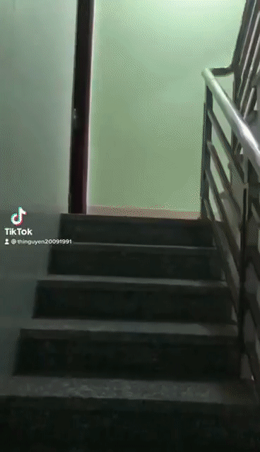 Cho thuê Căn hộ Chung cư Thành phố Thủ Đức Tp Hồ Chí Minh diện tích 18 m² giá 3 triệu/tháng