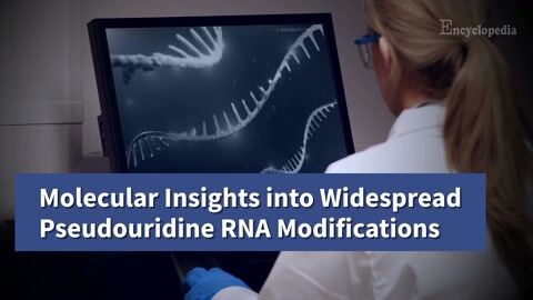 Encyclopedia-Pseudouridine RNA Modifications in Cancer