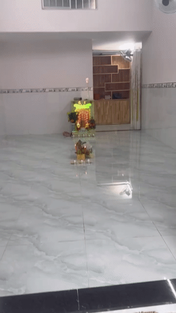 Cho thuê Nhà ở Huyện Bình Chánh Tp Hồ Chí Minh diện tích 56 m² giá 7 triệu/tháng