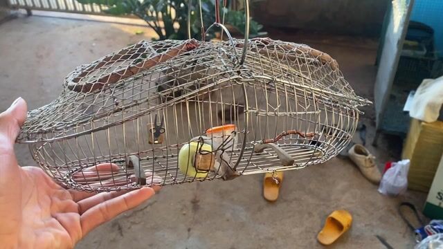 Lồng chim lưới bọc nhựa 1x1.6m. Mua bán Phụ kiện, Thức ăn, Dịch vụ tại Thành phố Pleiku Gia Lai được đăng bởi Liuliu hình 1