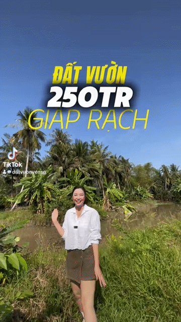 Mua bán Đất Huyện Tân Phú Đông Tiền Giang diện tích 170 m² giá 250 triệu