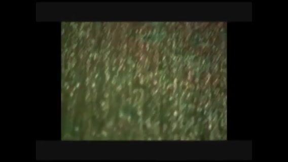 Un ciel orangé: la passion de l'art.