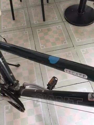 Xe đạp Giant Escape Xanh đậm. Mua bán Xe đạp tại Quận Ninh Kiều Cần Thơ được đăng bởi Diễm Nguyễn hình 1