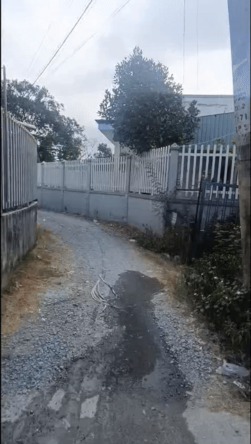 Mua bán Nhà ở Huyện Bình Chánh Tp Hồ Chí Minh diện tích 61 m² giá 800 triệu
