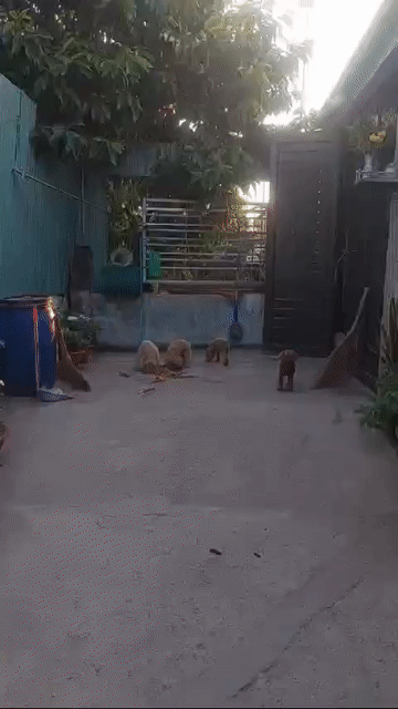 Mua bán Nhà ở Huyện Hóc Môn Tp Hồ Chí Minh diện tích 100 m² giá 1,7 tỷ