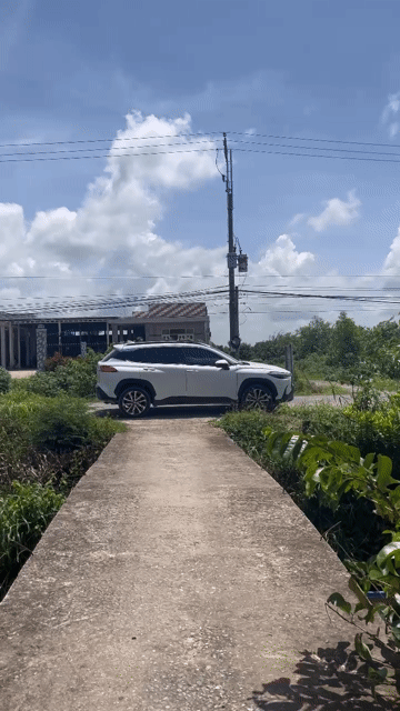 Mua bán Nhà ở Huyện Đức Huệ Long An diện tích 1700 m² giá 4,5 tỷ