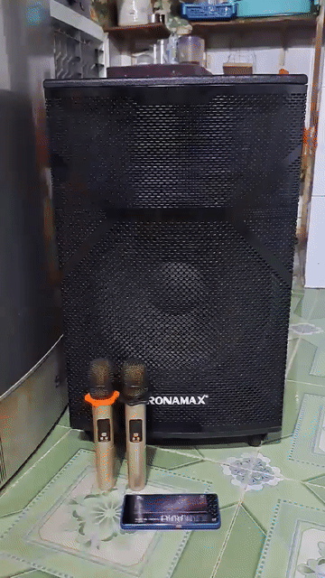Loa kéo RONAMAX Bass 40+ 2mic bình cầm tốt hát hay. Mua bán Tivi, Âm thanh tại Huyện Bình Chánh Tp Hồ Chí Minh được đăng bởi bán tại nhà ko ship ạ hình 1