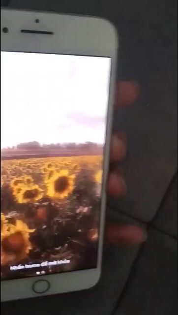 iPhone 7 Plus 32GB. Mua bán Điện thoại tại Huyện Thanh Trì Hà Nội được đăng bởi pake hình 1