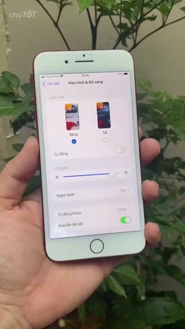 Apple iPhone 7 Plus 128GB Đỏ Đã sử dụng. Mua bán Điện thoại tại Quận Ninh Kiều Cần Thơ được đăng bởi Phúc Nguyễn hình 1