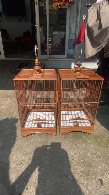 Lồng chim hút mật sâu đầu đỏ tre già. Mua bán Phụ kiện, Thức ăn, Dịch vụ tại Quận Tân Phú Tp Hồ Chí Minh được đăng bởi bim bim hình 1