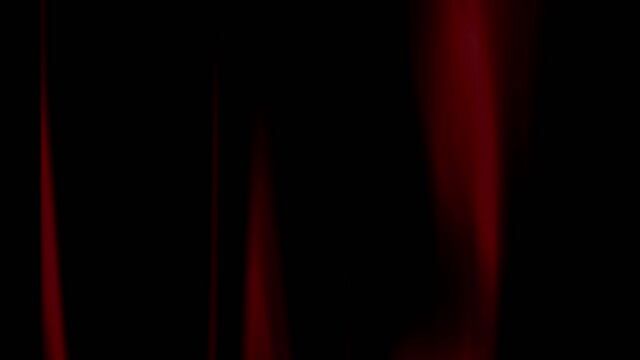 Model - Allana Henao toys