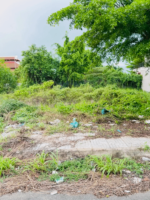Mua bán Đất Khu dân cư Tân Đô Huyện Đức Hòa Long An diện tích 105 m² giá 1,59 tỷ