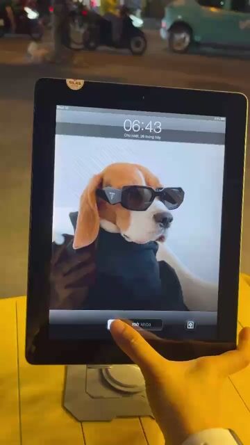 iPad Gen 2 16GB Chính Chủ. Mua bán Máy tính bảng tại Quận 3 Tp Hồ Chí Minh được đăng bởi Thanh Thuỷ hình 1