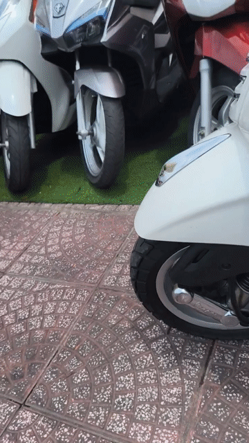 Piaggio Vespa 125cc 2014 bs 59v2-11308. Mua bán Xe máy tại Quận Phú Nhuận Tp Hồ Chí Minh được đăng bởi Thanh Hùng xebachin  hình 1
