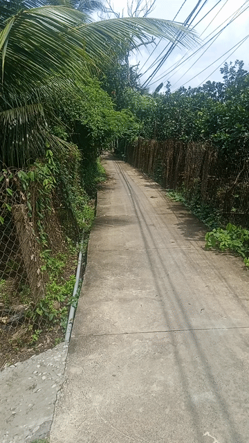 Mua bán Đất Thành phố Mỹ Tho Tiền Giang diện tích 150 m² giá 350 triệu