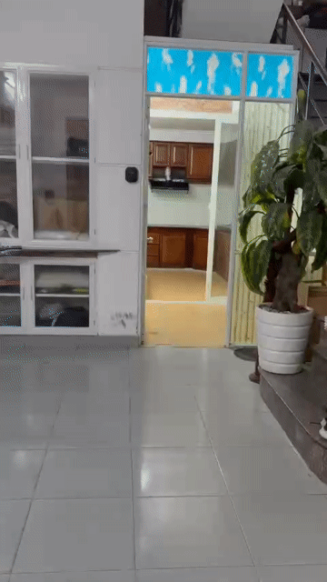 Cho thuê Căn hộ Chung cư Quận Phú Nhuận Tp Hồ Chí Minh diện tích 20 m² giá 4,2 triệu/tháng