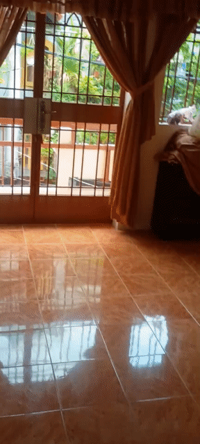Cho thuê Nhà ở Quận Phú Nhuận Tp Hồ Chí Minh diện tích 33 m² giá 12 triệu/tháng