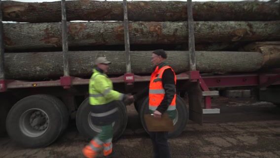 Le responsable du parc à grumes