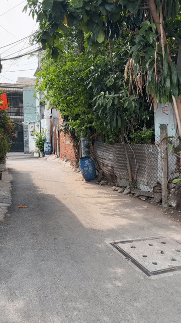 Mua bán Đất Thành phố Thủ Đức Tp Hồ Chí Minh diện tích 91 m² giá 6 tỷ