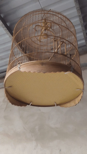 Lồng chim tre mây lớn 50x55cm. Mua bán Phụ kiện, Thức ăn, Dịch vụ tại Thị xã Bến Cát Bình Dương được đăng bởi Phạm Hải Dương hình 1
