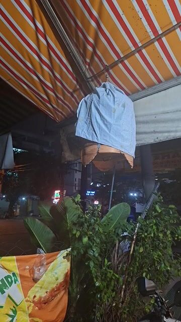 Than đút dế. Mua bán Chim tại Quận Bình Tân Tp Hồ Chí Minh được đăng bởi nguyễn trọng nghia hình 1