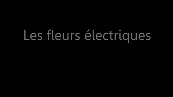 Les fleurs électriques