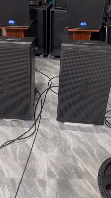 Loa sự kiện Aray bass 40 đỉnh nóc. Mua bán Tivi, Âm thanh tại Thành phố Biên Hòa Đồng Nai được đăng bởi Vẫn đợi em  hình 1
