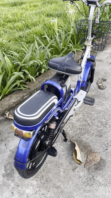 xe đạp điện 4 bình chạy khoẻ. Mua bán Xe đạp tại Quận 12 Tp Hồ Chí Minh được đăng bởi Minh hình 1