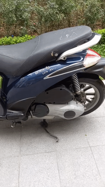 Piaggio Liberty ie Xanh Đã sử dụng. Mua bán Xe máy tại Quận Hoàng Mai Hà Nội được đăng bởi hoàng lan hình 1