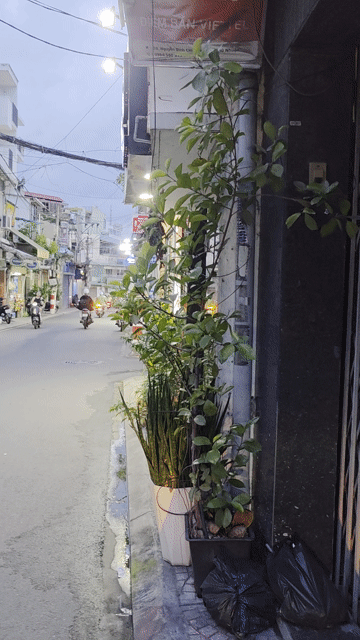 Mua bán Nhà ở Quận Phú Nhuận Tp Hồ Chí Minh diện tích 101.8 m² giá 23 tỷ
