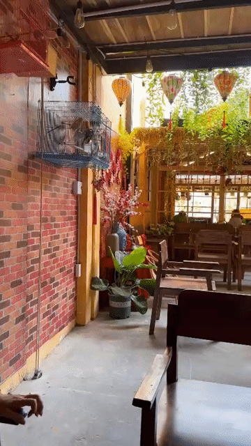 Mua bán Nhà ở Quận 3 Tp Hồ Chí Minh diện tích 220 m² giá 22,7 tỷ