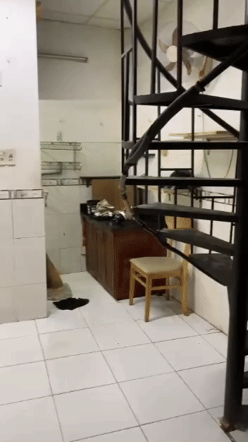 Cho thuê Nhà ở Quận 1 Tp Hồ Chí Minh diện tích 12 m² giá 4,9 triệu/tháng