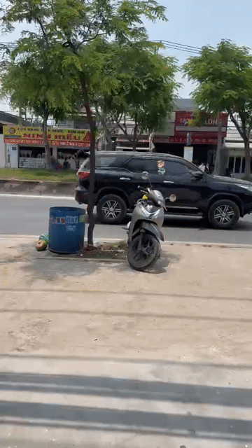 Cho thuê Văn phòng, Mặt bằng kinh doanh Huyện Bình Chánh Tp Hồ Chí Minh diện tích 200 m² giá 9,9 triệu/tháng