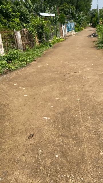 Mua bán Đất Thị xã Phú Mỹ Bà Rịa - Vũng Tàu diện tích 1300 m² giá 3,3 tỷ