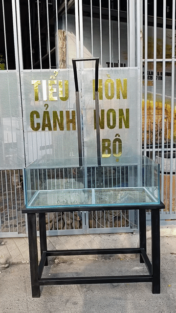 Bể cá cảnh kính 10,12 li 100x50x30cm. Mua bán Phụ kiện, Thức ăn, Dịch vụ tại Thị xã Phú Mỹ Bà Rịa - Vũng Tàu được đăng bởi Pets  hình 1