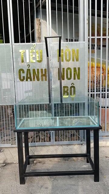 Bể cá cảnh kính 10,12 li 100x50x30cm. Mua bán Phụ kiện, Thức ăn, Dịch vụ tại Thị xã Phú Mỹ Bà Rịa - Vũng Tàu được đăng bởi Pets  hình 1