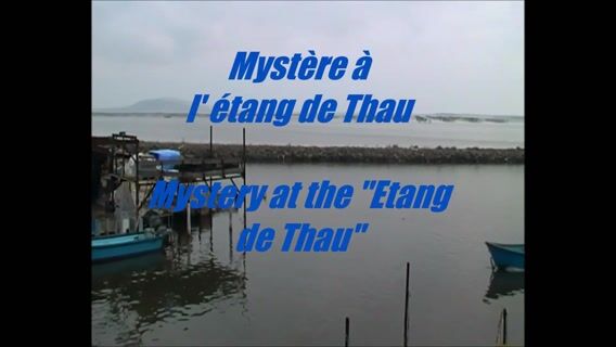 Mystère à l'étang de Thau.