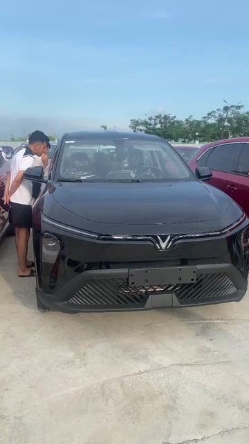 VinFast Limo Green 2025 - Sẵn xe Giao Ngay. Mua bán Ô tô tại Thành phố Hải Dương Hải Dương được đăng bởi Vinfast Ocean Park Gia Lâm Hà Nội hình 1