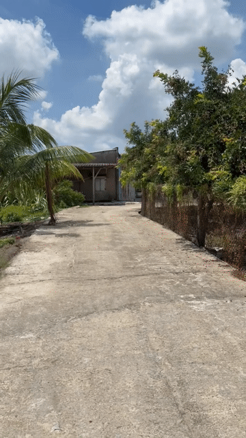 Mua bán Đất Huyện Xuyên Mộc Bà Rịa - Vũng Tàu diện tích 245 m² giá 850 triệu