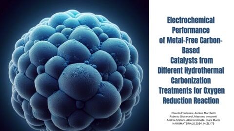 Electrochemical Performance of Metal-Free Carbon-Based Catalysts