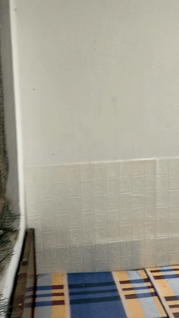 Cho thuê Phòng trọ Quận Tây Hồ Hà Nội diện tích 22 m² giá 1,8 triệu/tháng
